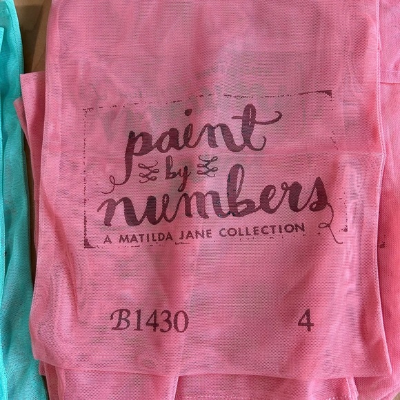 Matilda Jane mesh bags lot of 51 different sz & shapes paint by numbers series - Picture 2 of 10